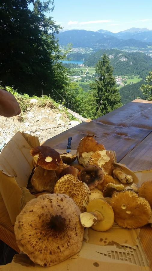 Koca Na Talezu Bed and Breakfast Ribno Eksteriør billede
