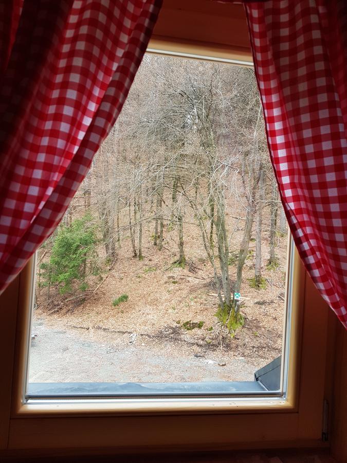 Koca Na Talezu Bed and Breakfast Ribno Eksteriør billede